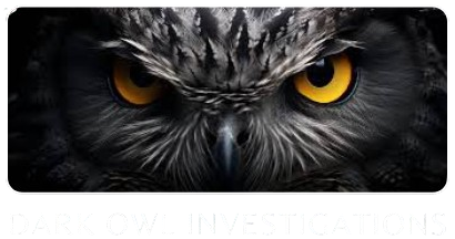 Dark Owl Investigations